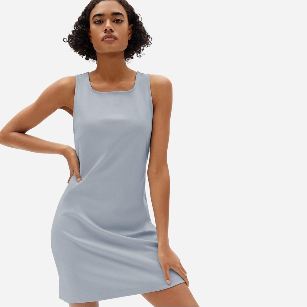 Everlane Party of One dress